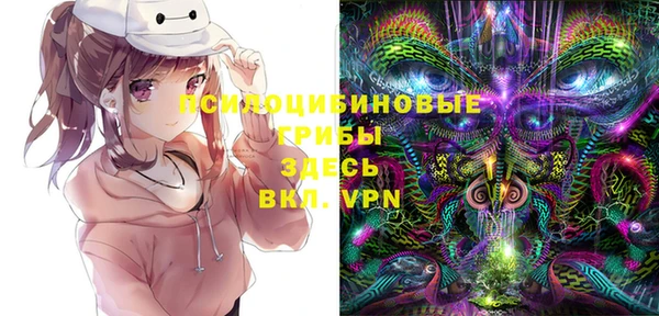 ECSTASY Армянск