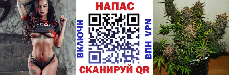 даркнет сайт  Балей  Шишки марихуана план 